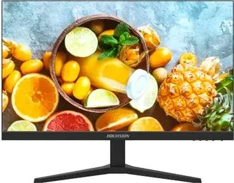 Hikvision DS-D5024FN10