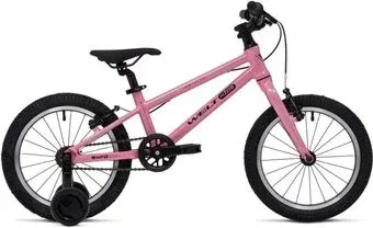 Welt Teddy 16 2025 (milky pink)