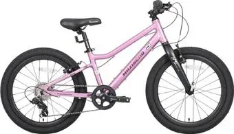 Maxiscoo 5bike 20 L200 2025 MSC-M5-2013 (розовый сапфир)