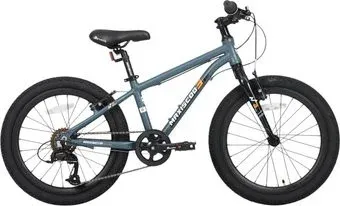 Maxiscoo 3bike 20 M 2025 MSC-M3-2001 (серый матовый)