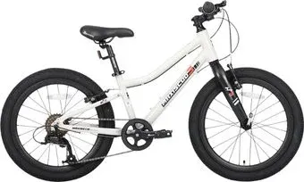 Maxiscoo 3bike 20 L 2025 MSC-M3-2003 (серый, разобранный)