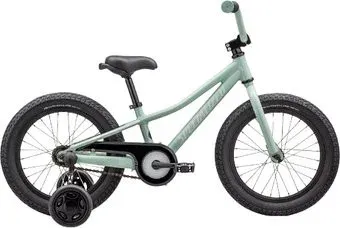 Specialized Riprock Coaster 16 2023 (зеленый/белый)