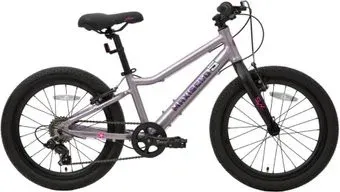 Maxiscoo 5Bike 20 L 2024 (розовый сапфир)