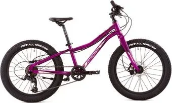 Merida Matts J20+ Pro 2022 (пурпурный)