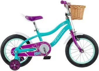 Schwinn ELM 14 2022 S0403RUB (бирюзовый)