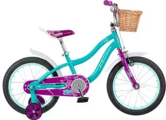 Schwinn Elm 16 2021 S0615RUBWB (голубой/фиолетовый)