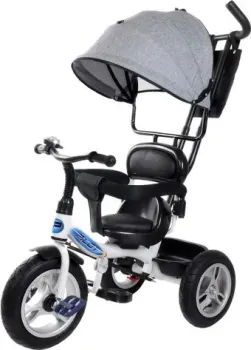 Trike Pilot PTA1GR 12/10" 2020 (серый)