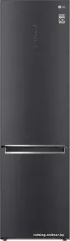 LG DoorCooling+ GA-B509PBAM
