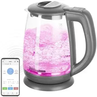 Redmond (Редмонд) SkyKettle RK-G214S (серый)