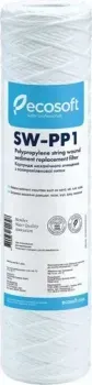 ECOSOFT из полипропиленовой нити 2,5"x10" 1 мкм CPN25101ECO
