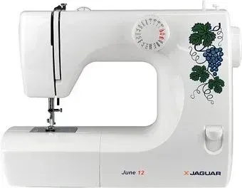 Jaguar June 12