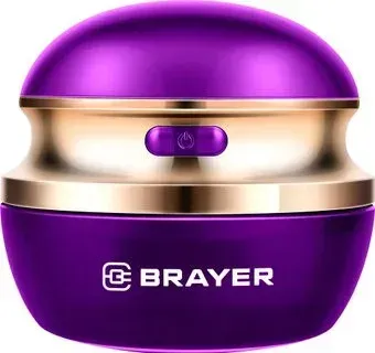 Brayer BR5031