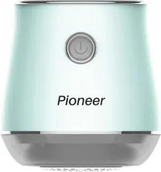 Pioneer LR19