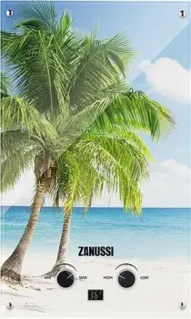 Zanussi GWH 10 Fonte Glass Paradiso