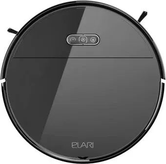 Elari SmartBot Brush SBT-001A (черный)