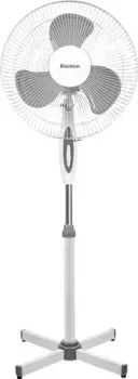 Blackton Bt F1114