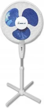 Momert 2354