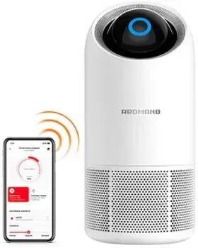 Redmond (Редмонд) AP2210S