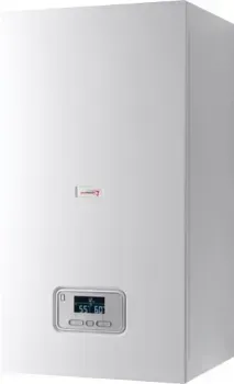 Protherm Ray (Скат) 21 KE /14 0010023651