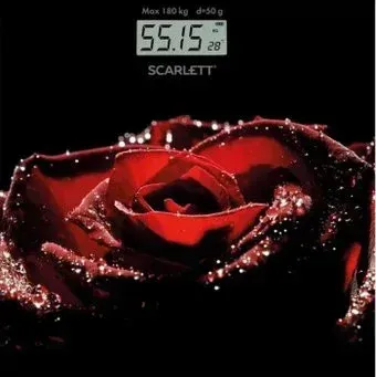 Scarlett SC-BS33E028