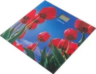 HomeStar HS-6001I