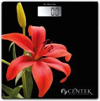 CENTEK CT-2416
