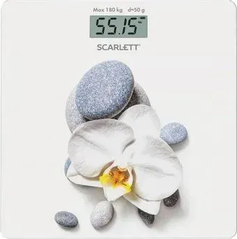 Scarlett SC-BS33E020