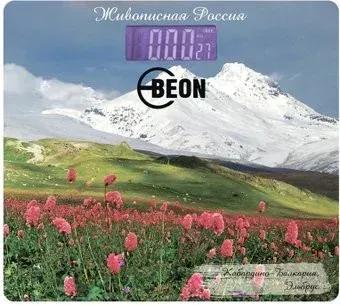 Beon BN-1106