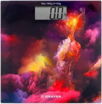 Brayer BR3732