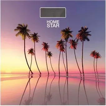 HomeStar HS-6001S