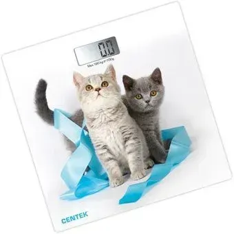 CENTEK CT-2426 Котята
