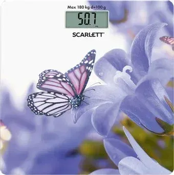 Scarlett SC-BS33E072