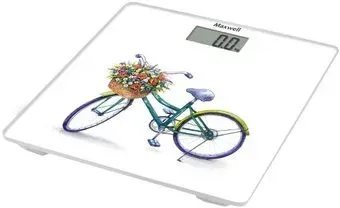 Maxwell MW-2668