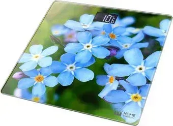 Home Element HE-SC904 (незабудки)
