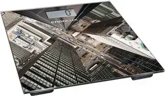 Ergolux ELX-SB02-С08