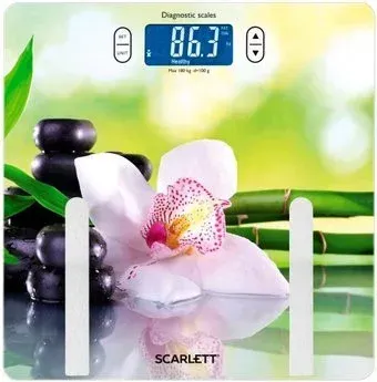 Scarlett SC-BS33ED10