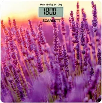 Scarlett SC-BS33E047