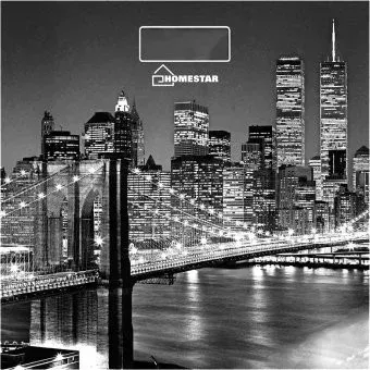 HomeStar HS-6001E