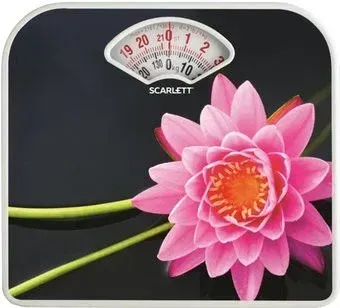 Scarlett SC-BS33M043