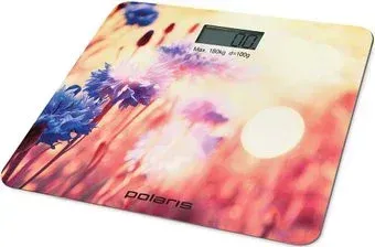 Polaris РWS 1870DG