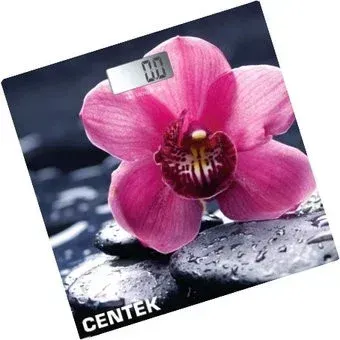 CENTEK CT-2421 (цветок)
