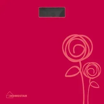 HomeStar HS-6001C