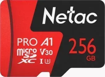Netac P500 Extreme Pro 256GB NT02P500PRO-256G-S