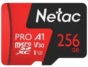 Netac 256GB 500 Extreme Pro NT02P500PRO-256G-R (с адаптером)