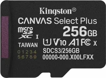 Kingston Canvas Select Plus microSDXC 256GB SDCS3/256GBSP