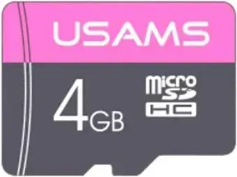 Usams US-ZB100 TF High Speed Card 4GB