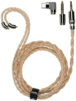 FiiO LC-RE Pro 2025