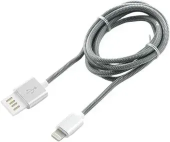Cablexpert CCB-ApUSBs1m