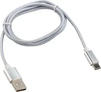Rexant 18-1899 USB Type-A - USB Type-C (1 м, серебристый)