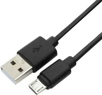 Гарнизон GCC-mUSB2-AMBM-1M
